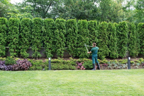 Krebs, OK Tree Services Company