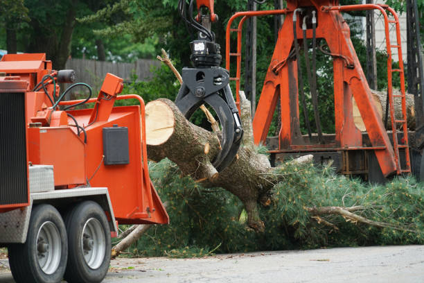 Best Pest Control for Lawns  in Krebs, OK