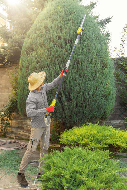Best Lawn Renovation and Restoration  in Krebs, OK