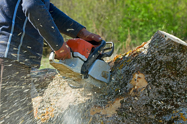 Best Organic Lawn Care Solutions  in Krebs, OK